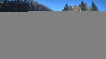 Snímek    1.11.2025 v 11:00