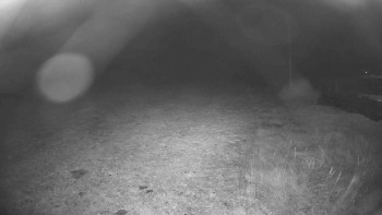 Snímek    1.11.2025 v 18:00