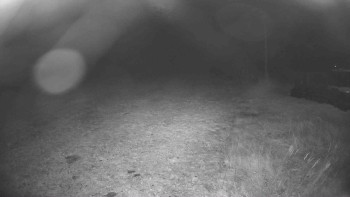 Snímek    2.11.2025 v 00:30