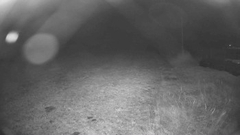 Snímek    2.11.2025 v 03:30