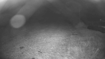 Snímek    2.11.2025 v 05:45