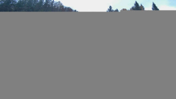 Snímek    2.11.2025 v 12:45