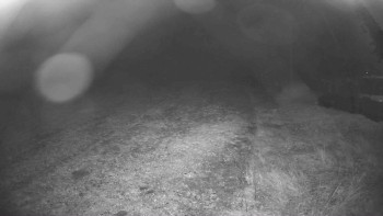 Snímek    2.11.2025 v 18:30