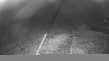 Snímek    3.11.2025 v 01:00