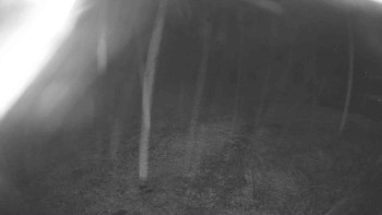 Snímek    3.11.2025 v 02:00