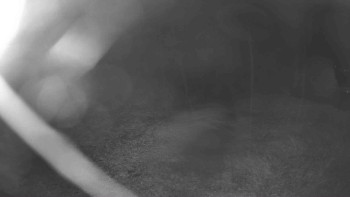 Snímek    3.11.2025 v 03:45