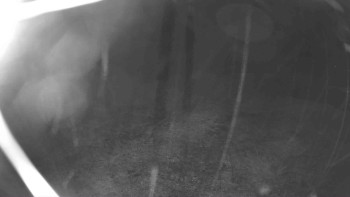 Snímek    3.11.2025 v 04:15