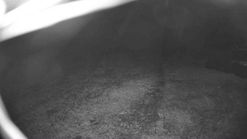 Snímek    3.11.2025 v 05:00