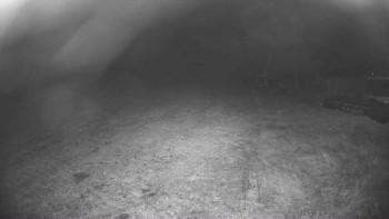 Snímek    4.11.2025 v 05:00