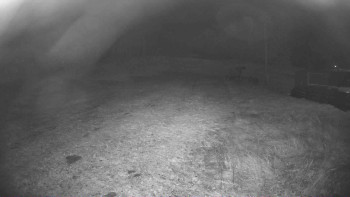 Snímek 4.11.2025 v 19:00