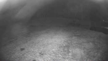 Snímek 4.11.2025 v 19:45