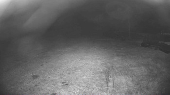 Snímek 5.11.2025 v 03:00