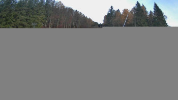 Snímek    5.11.2025 v 07:00