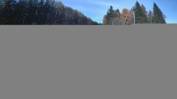 Snímek 5.11.2025 v 11:30