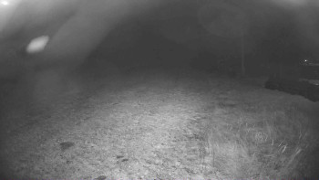 Snímek 6.11.2025 v 04:45