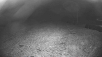 Snímek 6.11.2025 v 05:00