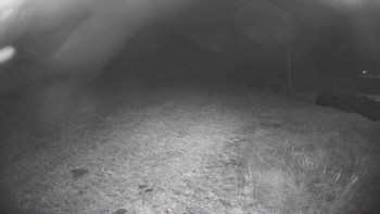 Snímek 6.11.2025 v 05:30