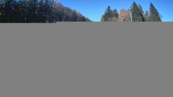 Snímek 6.11.2025 v 12:15