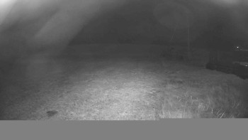 Snímek    6.11.2025 v 18:45