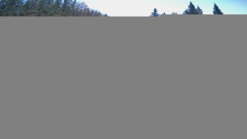 Snímek 8.11.2025 v 06:30