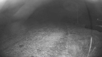 Snímek 8.11.2025 v 18:30