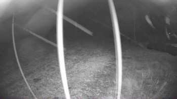 Snímek 8.11.2025 v 18:45