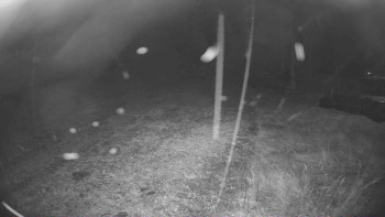 Snímek 8.11.2025 v 19:00