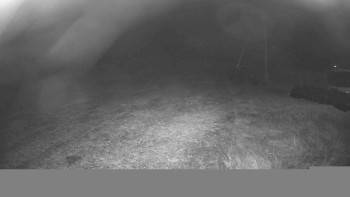 Snímek 8.11.2025 v 22:30