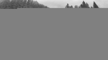 Snímek    9.11.2025 v 06:30