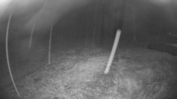 Snímek 9.11.2025 v 18:30