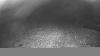 Snímek    13.11.2025 v 00:30