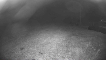 Snímek 13.11.2025 v 17:45