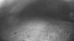 Lyžařský vlek Karlova Studánka - Sjezdovka - 14.11.2025 v 05:00 Lyžařský vlek Karlova Studánka - Sjezdovka - 14.11.2025 v 05:00