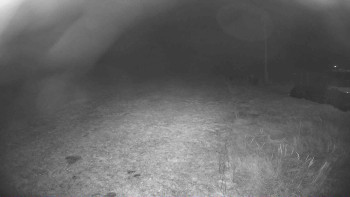 Snímek    14.11.2025 v 05:45