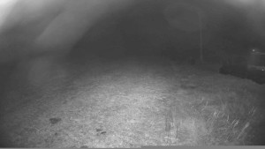 Lyžařský vlek Karlova Studánka - Sjezdovka - 14.11.2025 v 21:00 Lyžařský vlek Karlova Studánka - Sjezdovka - 14.11.2025 v 21:00