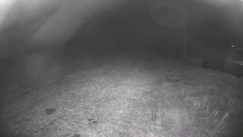 Snímek    15.11.2025 v 00:15