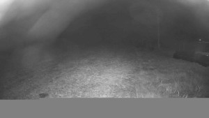 Lyžařský vlek Karlova Studánka - Sjezdovka - 15.11.2025 v 03:45 Lyžařský vlek Karlova Studánka - Sjezdovka - 15.11.2025 v 03:45