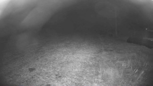 Lyžařský vlek Karlova Studánka - Sjezdovka - 15.11.2025 v 04:45 Lyžařský vlek Karlova Studánka - Sjezdovka - 15.11.2025 v 04:45