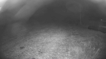 Snímek 16.11.2025 v 04:30