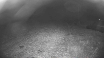 Snímek    17.11.2025 v 03:45