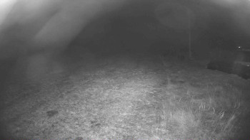 Snímek 17.11.2025 v 05:00