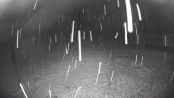 Snímek 17.11.2025 v 18:00