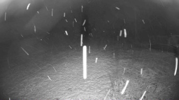 Snímek 17.11.2025 v 18:45