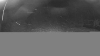 Snímek 17.11.2025 v 21:45