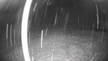 Snímek 17.11.2025 v 22:00