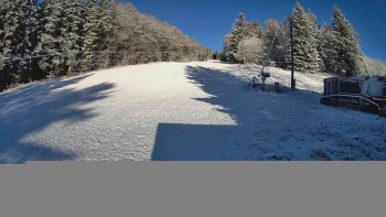 Snímek 18.11.2025 v 08:45