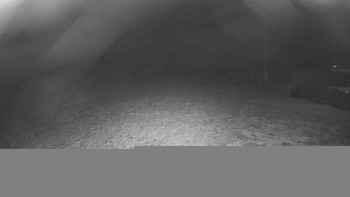 Snímek    18.11.2025 v 19:00