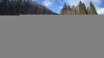 Snímek    20.11.2025 v 12:45