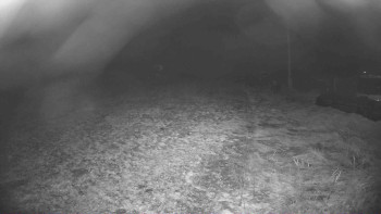 Snímek    20.11.2025 v 18:15