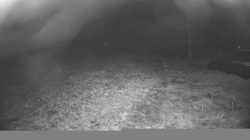 Snímek    20.11.2025 v 19:45